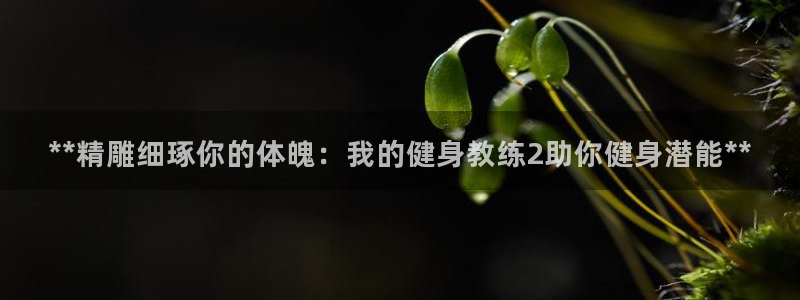 意昂2娱乐